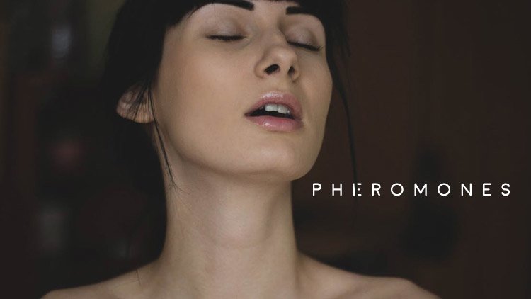 Men’s Health Blog: pheromones for men