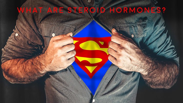 Men’s Health Blog: what are steroid hormones