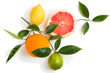 citrus cruits