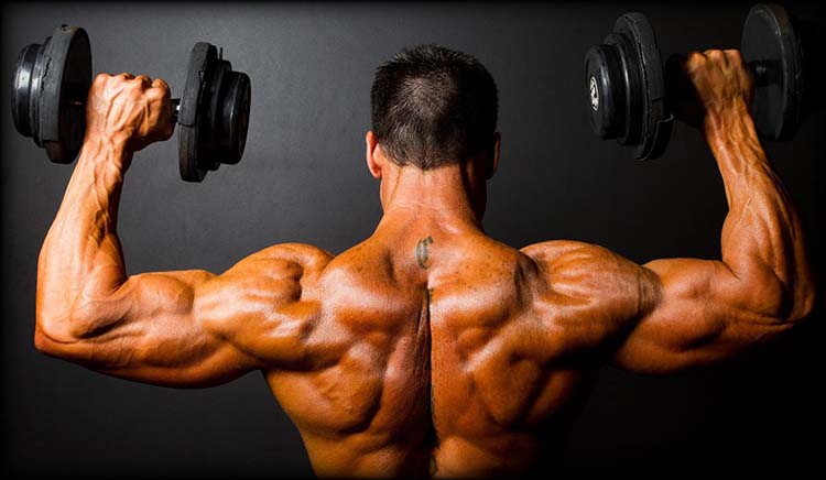 anabolic steroid and muscle mass