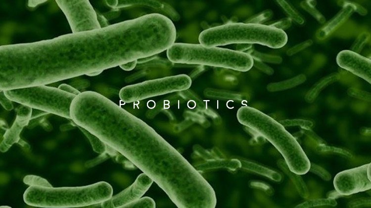 Men’s Health Blog: probiotic foods