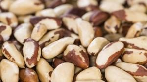 brazil nuts