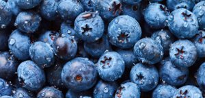 blueberries superfood