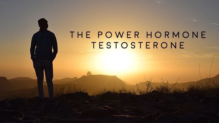Men’s Health Blog: Effects of Testosterone