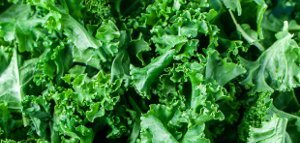 kale superfood