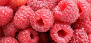 raspberries superfood