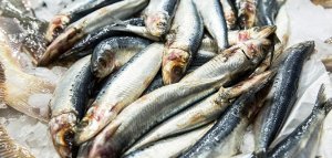 sardines superfood